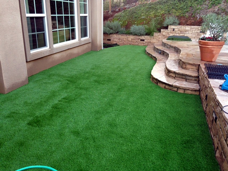 Artificial Turf Ormond Beach Florida Landscape Front Yard