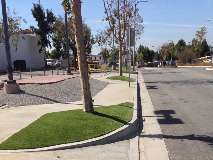 Artificial Turf Port Orange Florida Lawn Front Yard