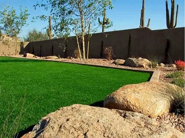 Artificial Turf Sharpes Florida Landscape Back Yard