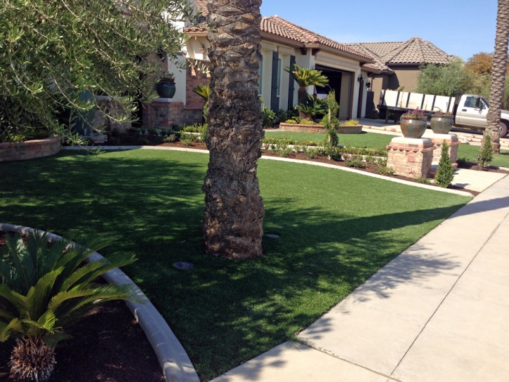 Artificial Turf Southchase Florida Landscape Parks