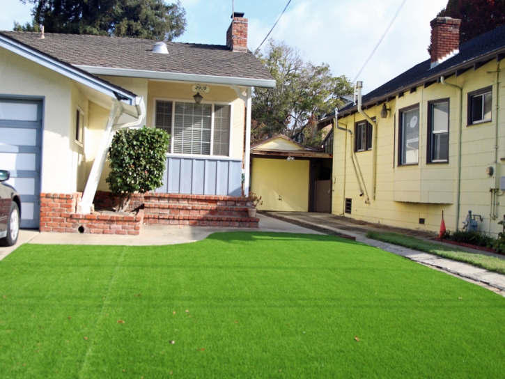 Artificial Turf Trilby Florida Lawn Back Yard