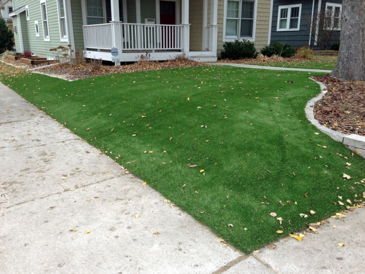 Artificial Turf Webster Florida Landscape Swimming Pools