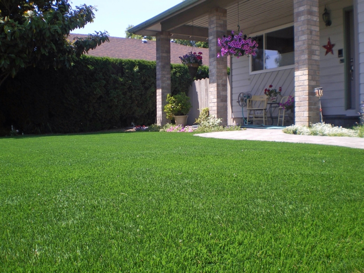 Artificial Turf Wedgefield Florida Landscape Back Yard