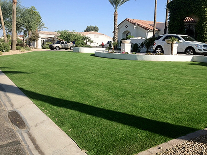 Artificial Turf Winston Florida Landscape Front Yard