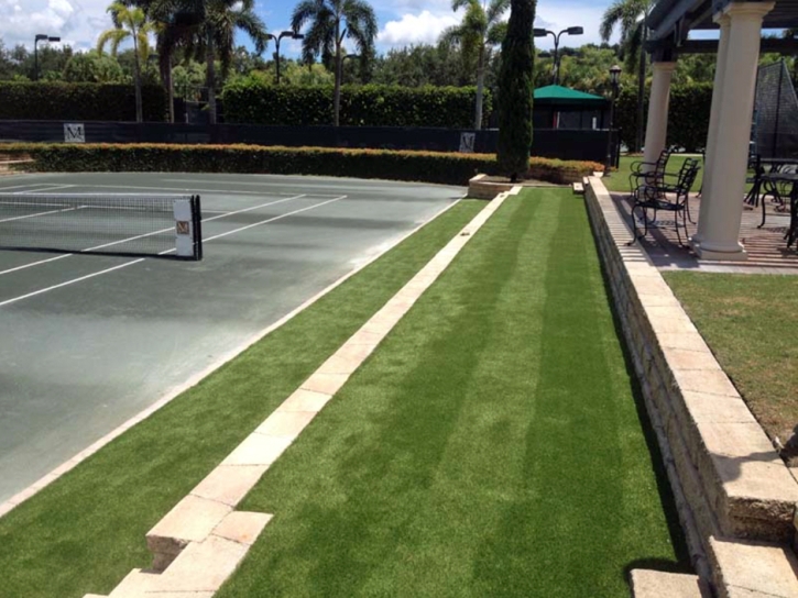 Artificial Turf Winston Florida Landscape