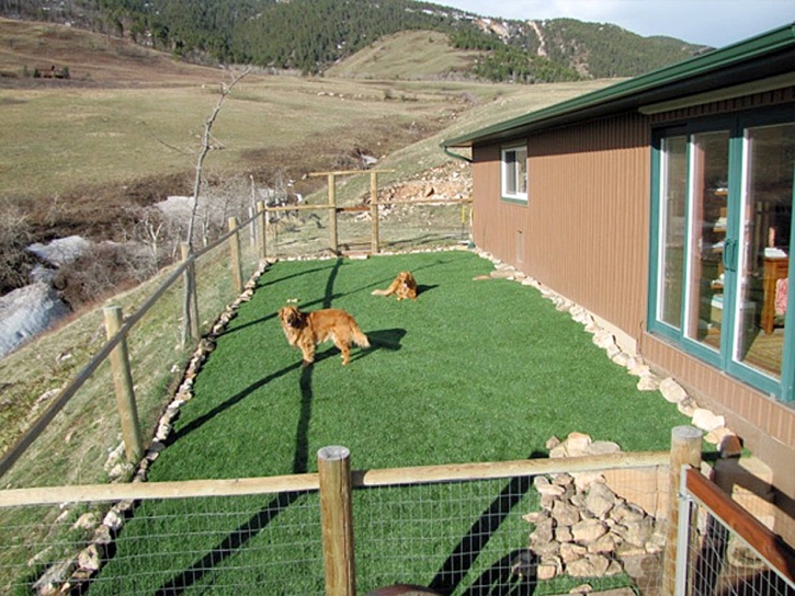 Artificial Veterinary Clinic Fern Park Florida for Dogs Front