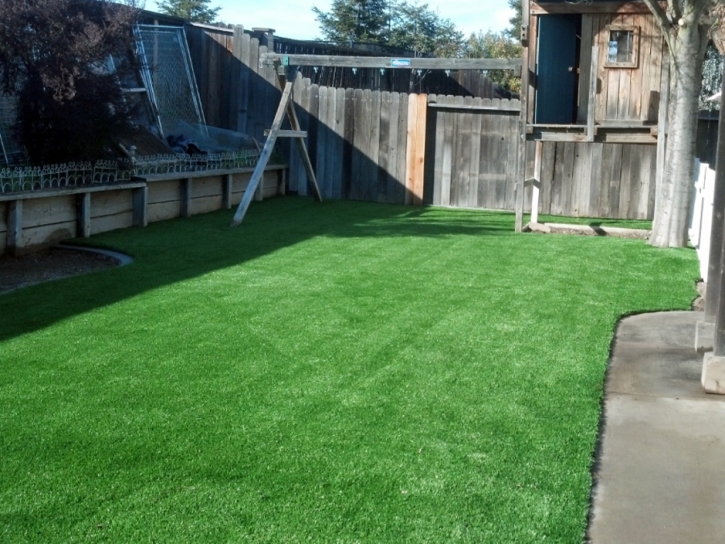 Fake Grass Altoona Florida Lawn Back Yard