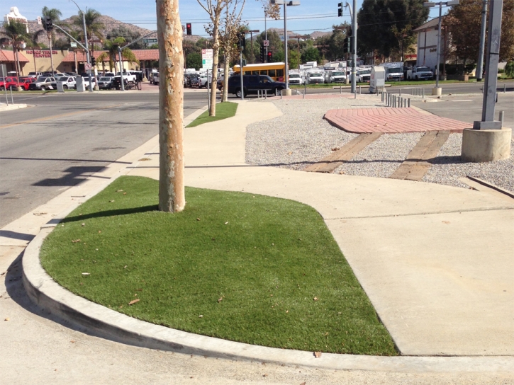 Fake Grass Astor Florida Landscape Front Yard