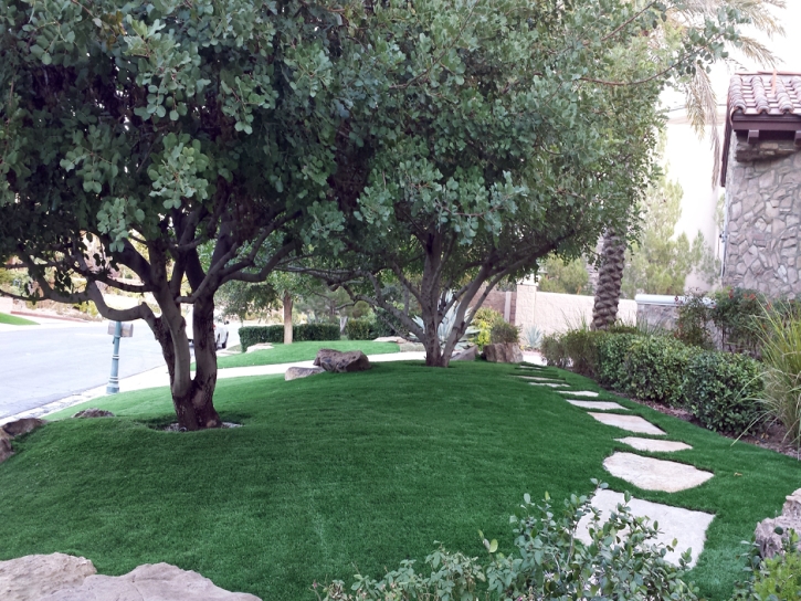 Fake Grass Citrus Ridge Florida Landscape Back Yard