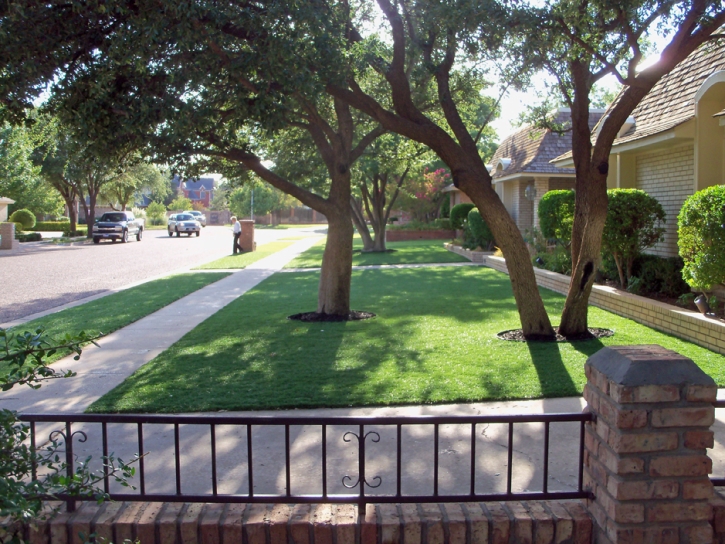 Fake Grass Citrus Ridge Florida Lawn