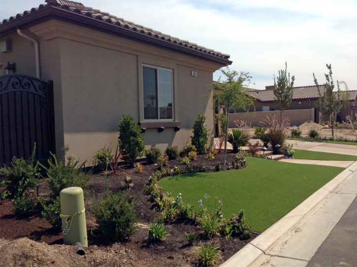 Fake Grass Clermont Florida Landscape Front Yard