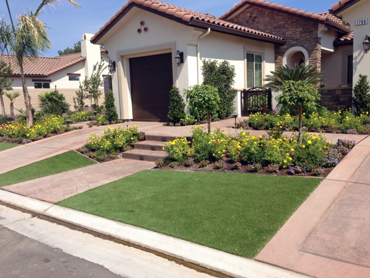 Fake Grass Fruitland Park Florida Landscape Front Yard