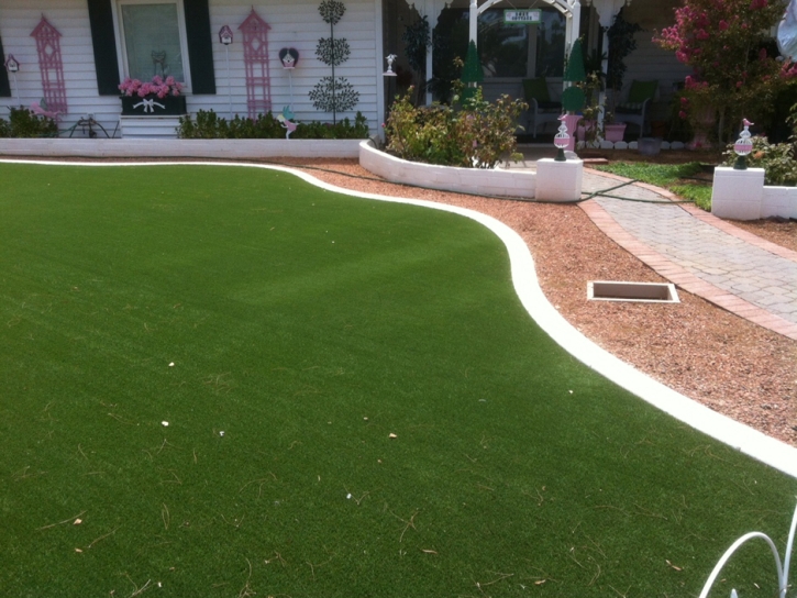 Fake Grass Gotha Florida Landscape