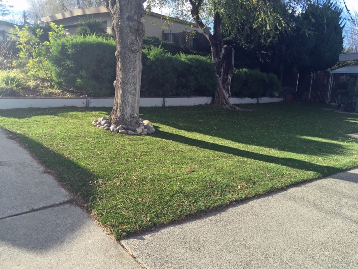 Fake Grass Indian Harbour Beach Florida Landscape