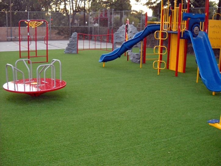 Fake Grass Inwood Florida Kindergarten Pools Back Yard