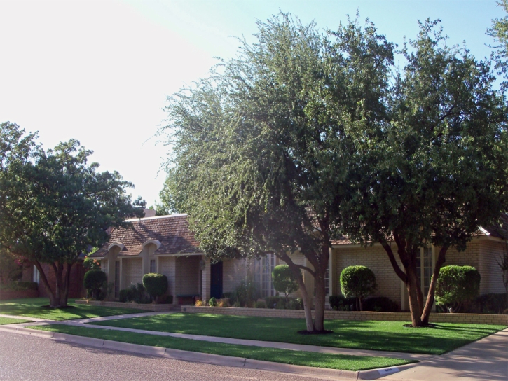 Fake Grass Istachatta Florida Landscape Commercial Landscape