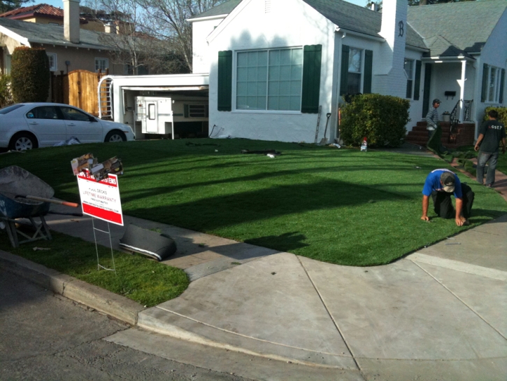 Fake Grass Lady Lake Florida Lawn Back Yard