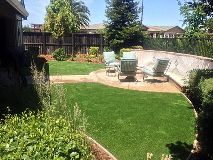 Fake Grass Lake Wales Florida Landscape Back Yard