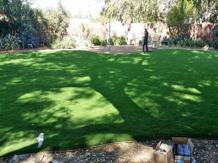 Fake Grass Leesburg Florida Landscape Front Yard