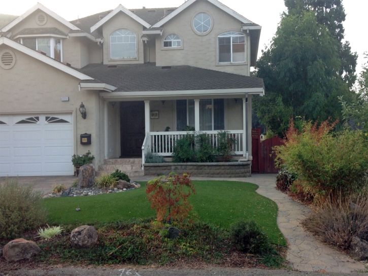 Fake Grass Medulla Florida Landscape Front Yard