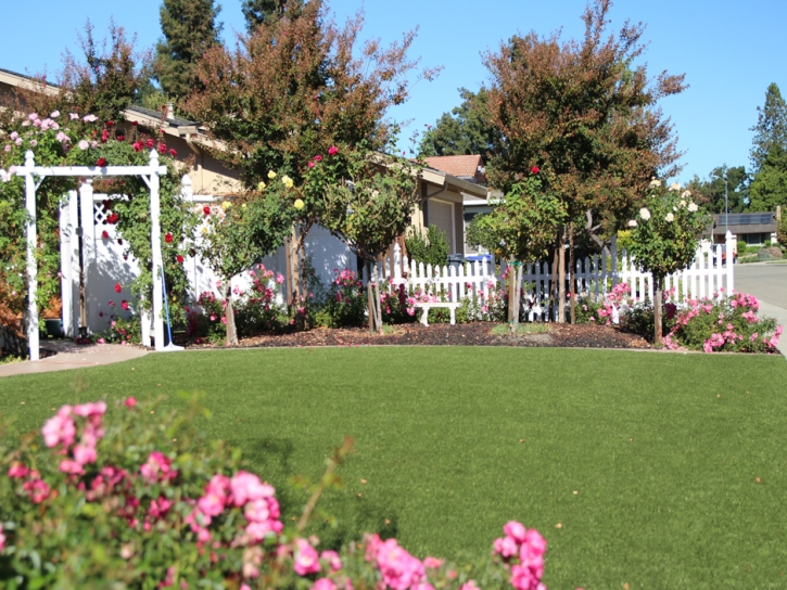 Fake Grass New Smyrna Beach Florida Landscape Back Yard