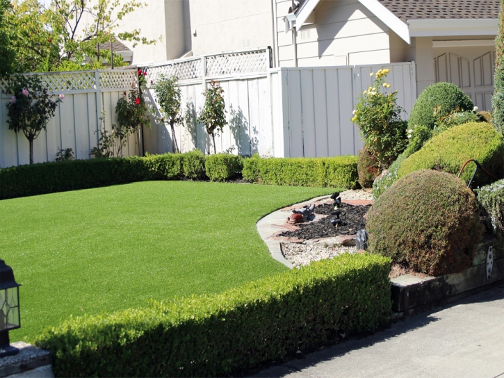 Fake Grass Pierson Florida Landscape Back Yard