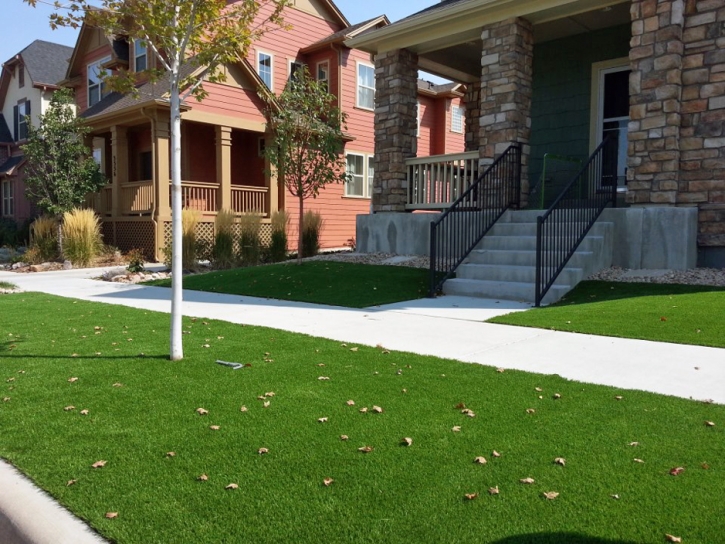 Fake Grass Pine Hills Florida Lawn Front Yard