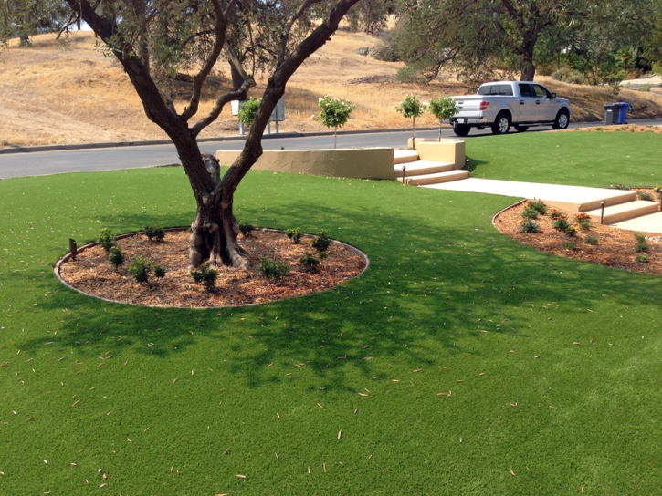 Fake Grass Poinciana Florida Landscape Front Yard