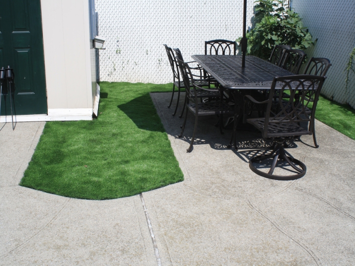 Fake Grass Rockledge Florida Lawn Back Yard