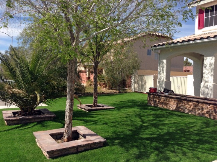 Fake Grass Saint Cloud Florida Lawn Back Yard Snow