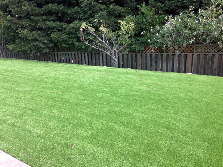 Fake Grass Samsula-Spruce Creek Florida Lawn Back Yard