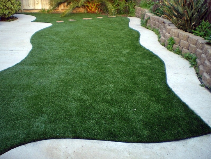 Fake Grass Silver Lake Florida Lawn Back Yard