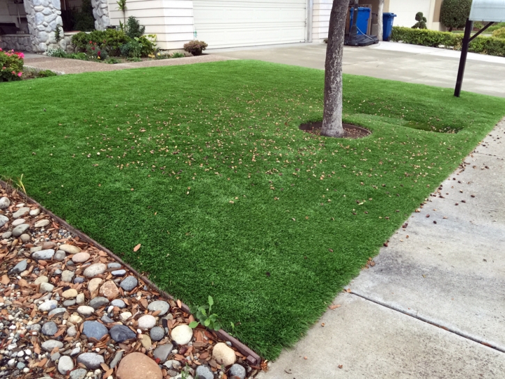 Fake Grass South Patrick Shores Florida Lawn Back Yard