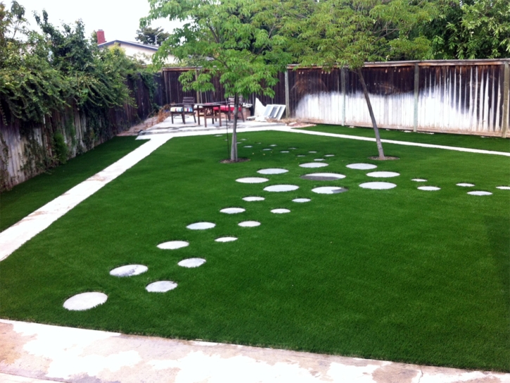 Fake Grass Southchase Florida Lawn Back Yard