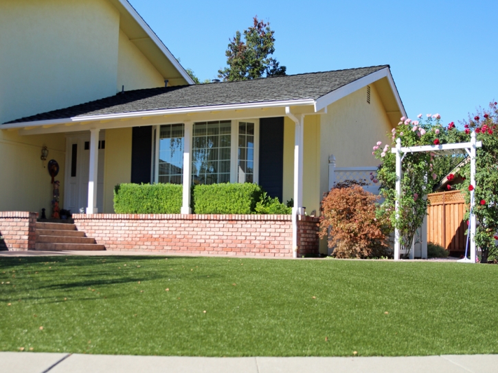 Fake Grass Spring Lake Florida Lawn Fountans Back Yard