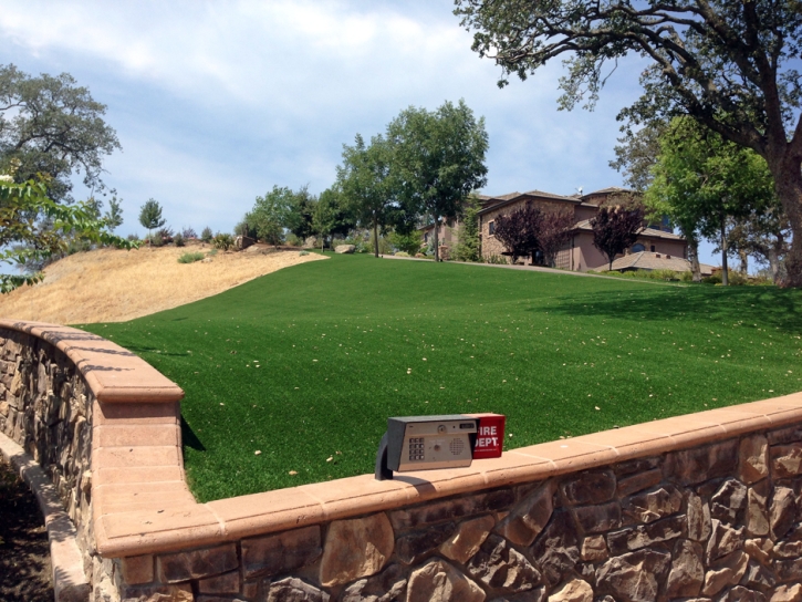 Fake Grass Umatilla Florida Landscape Back Yard