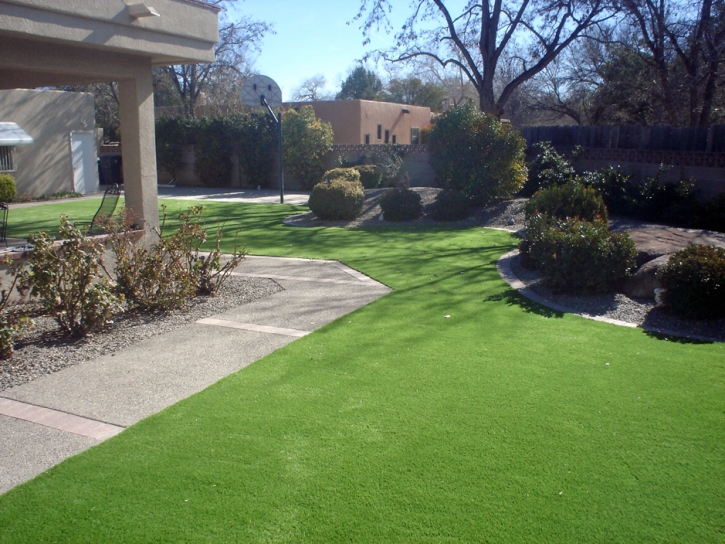 Fake Grass Union Park Florida Landscape