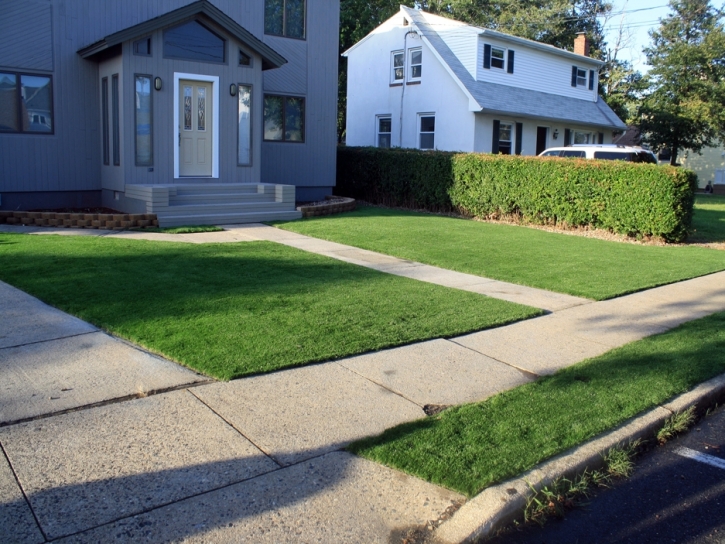 Fake Grass Wahneta Florida Landscape Front Yard