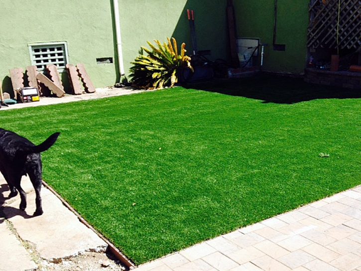 Fake Pet Grass Mims Florida Installation Back Yard