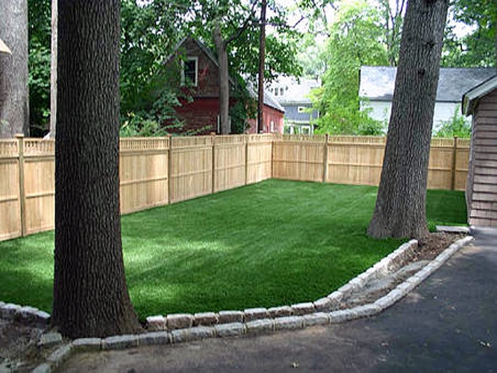 Fake Pet Turf Mascotte Florida Installation Back Yard