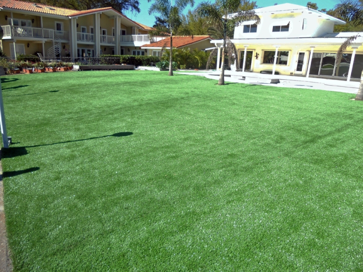 Fake Turf Campbell Florida Landscape Front Yard