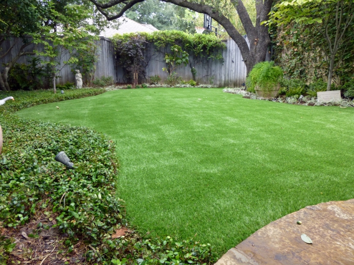 Fake Turf Chuluota Florida Lawn Commercial Landscape