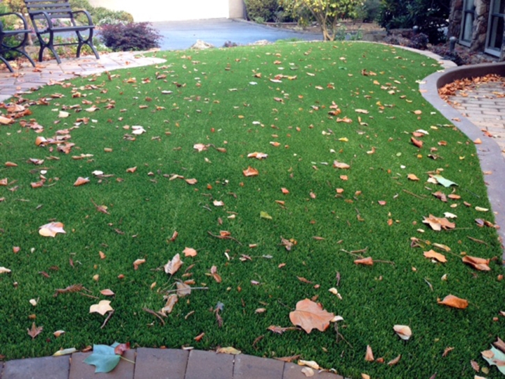 Fake Turf Crystal Lake Florida Lawn Front Yard