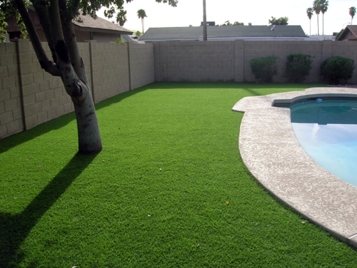 Fake Turf De Land Southwest Florida Lawn Front Yard