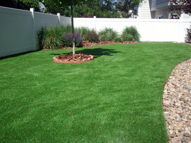 Fake Turf Eatonville Florida Landscape