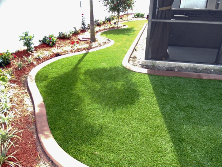 Fake Turf Ferndale Florida Landscape Front Yard