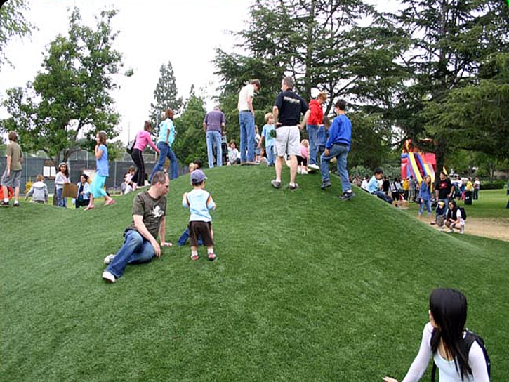 Fake Turf Haines City Florida Kids Care Front Yard