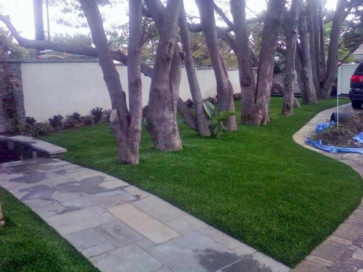 Fake Turf Hawthorne Florida Lawn Back Yard