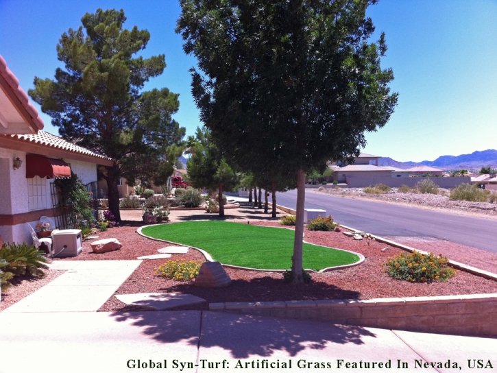 Fake Turf Holden Heights Florida Lawn