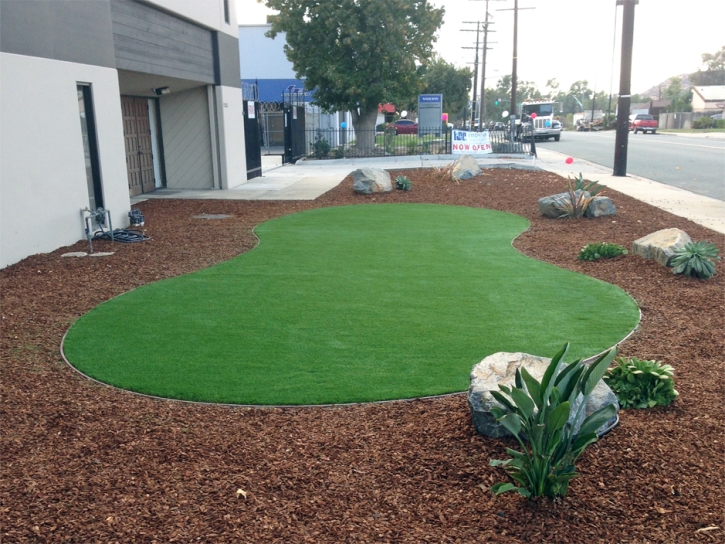 Fake Turf Lacoochee Florida Landscape Back Yard